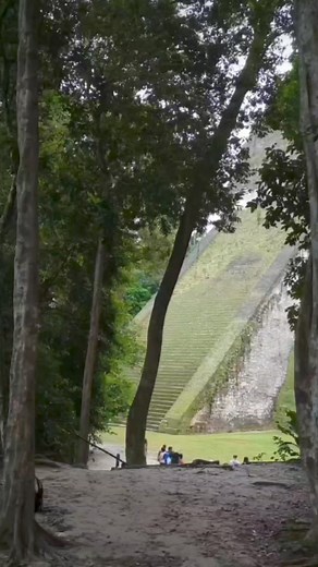 Tikal National Park, Guatemala 🇬🇹 #tikal #tikalguatemala #mayanruins | Octavio Velazquez lozano