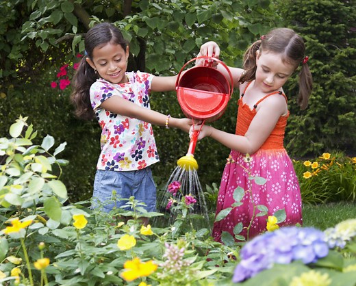 Investment 529 Plan - 529 College Savings Plans | Florida Prepaid College