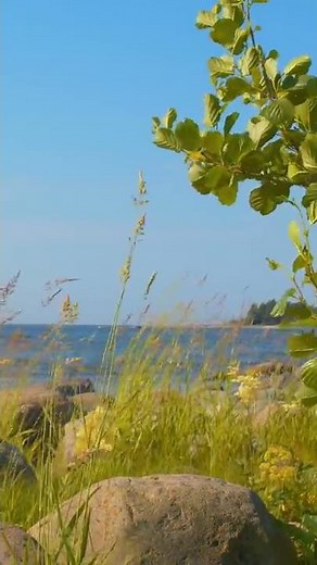 Close your eyes and relax 💚 Music: 'Kesä' by Peder B. Helland