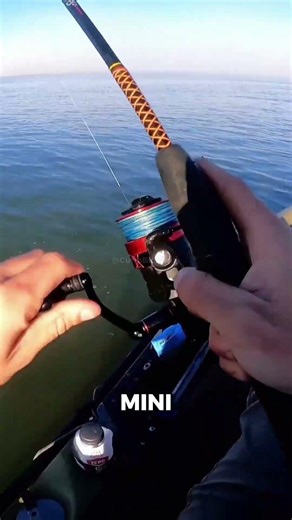 The Beach is ALIVE! 🦀😱 (Unbelievable) #shorts