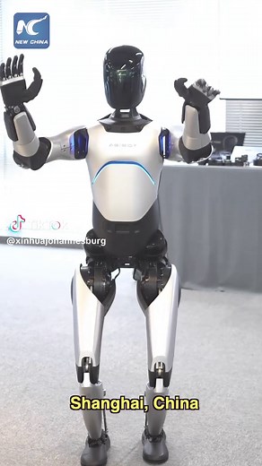 Chinese Humanoid Robot Performs Tai Chi Gracefully