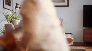 Lysol Disinfectant Spray TV Spot, 'Modo protección'