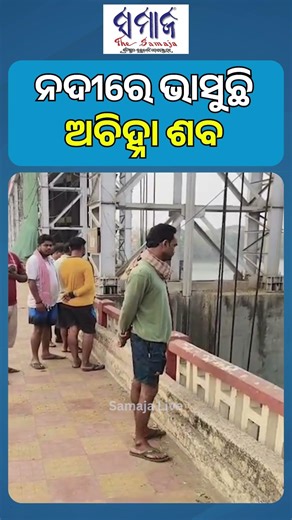 ବିରୂପା ବ୍ୟାରେଜରେ ଭାସୁଛି ଦୁଇ ଅଚିହ୍ନା ମୃତଦେହ #cuttack #birupa