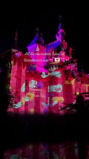 Also saw Daisy & Donald dancing 🥹🩷#disneyland #disneyprincess #disneyafterdark #fyp #PaidPartnership