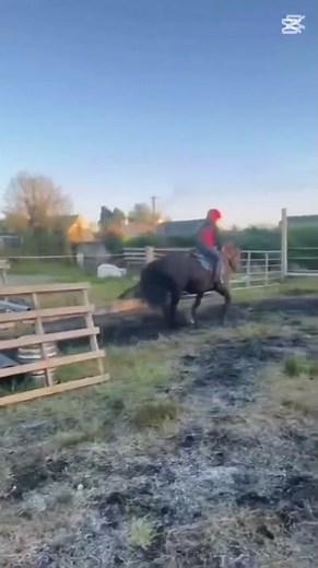 Kate's filming is poop words from Roisin.