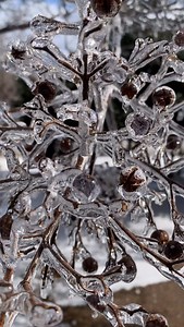 It’s been a wild weather weekend here in Tennessee. Hope everyone’s staying safe and warm out there. #cold #ice #snow #tennessee | Terry McBride