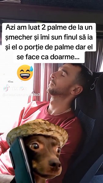 #Meme #MemeCut #CapCut #duet #foruyou #foouryoupage #fy TikTok