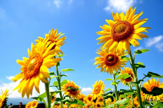 失恋から立ち直る！元気で明るい応援歌20選【定番曲＆最新曲】