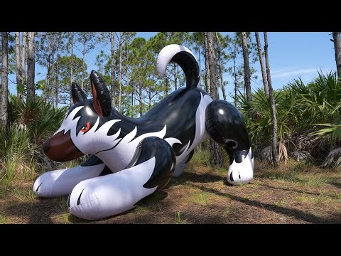 Black and White 8-Foot-Long Husky Ride-On Toy Inflation