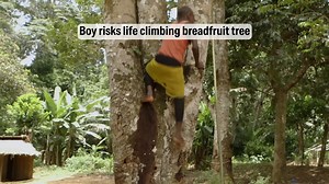 These children combine education with full-time jobs helping their families. There's a vast difference between city education and the manual work of the countryside. Breakfast has to wait. | Free Documentary