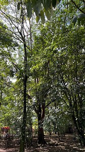 Volcano Lodge, Hotel & Thermal Experience on Reels