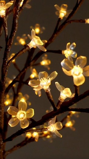 2.7K views · 28 reactions | Light up your space and your events with...