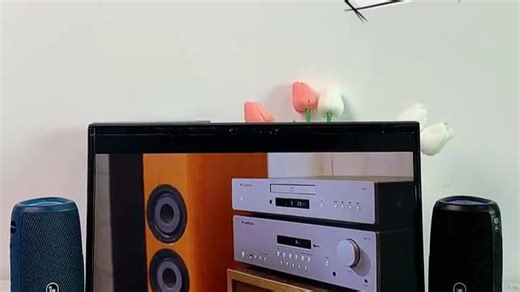 户外大功率低音炮神器BassMaster Pro，重低音震撼不扰民，车载派对、露营野餐都够劲，360°沉浸听感，朋友聚会秒变音乐现场！