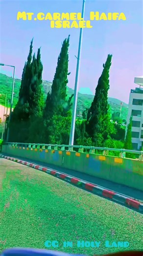 Mt.carmel israel