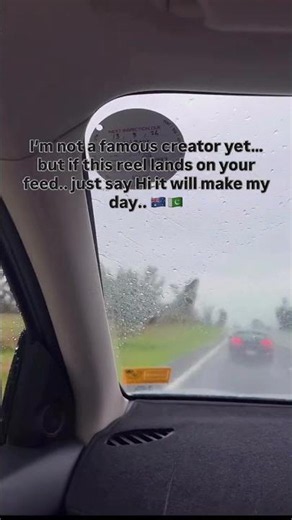 Rainy Day Drive in Tasmania 🌧️