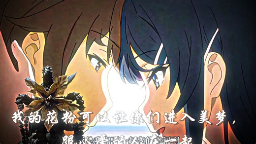 齐杰拉之花：“你太累了，也该好好休息一下了”