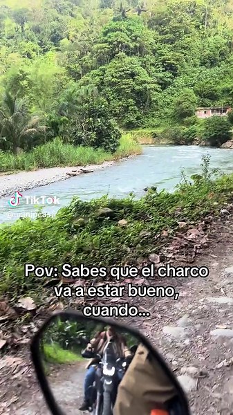 Explora la naturaleza en el charco del Danubio