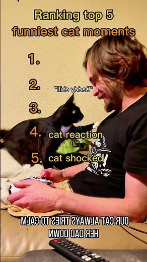 Ranking Funniest Cats Doing Funny Things 🐱 Best Cat Videos Compilation #shorts