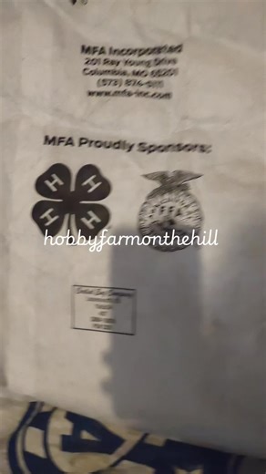 #mfa #chickenlife #missouri