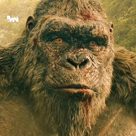 Respect For Kong | Titan X Get Her Egg Back | Monarch Legecy Of Monstar #appletvplus #primevideode