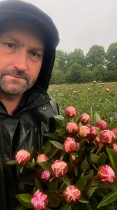 If growing Peonies was easy then everybofy would do it. I don’t even mind telling you how to do it So if you’ve got any questions about growing peonies or anything about Peonies I will tell you Cause it’s not easy | Petite Peonys