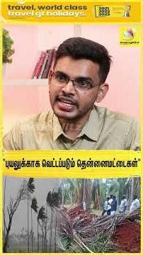 "புயலுக்காக வெட்டப்படும் தென்னைமட்டைகள்" - Cyclone Formation Detailed Explained