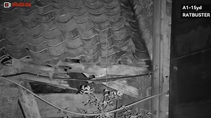 Few more from the other night | Jeff Pybus