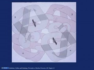 Hemoglobinopathies part 1