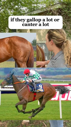 Have you ever noticed visible lines on horse’s hind ends in this muscle? Here’s what to do about it if your horse has this type of tension in their biceps femoris! - Consider their workload - do they need a break to let their muscles recover? - Use stretching after your rides to release tension in this area -Try massage for improved circulation and faster recovery from hard work If you want to learn how to massage the biceps femoris (and the rest of your horse’s body) comment EM101 below and I’l