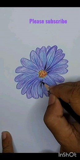 Gerbera daisy flower easy drawing.