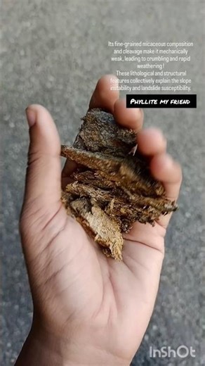 phyllite my friend! #geologist #phdlife #fieldwork #himalayas #mountains #phyllite