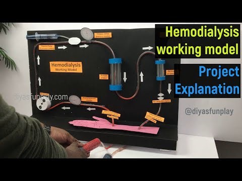 hemodialysis working model explanation - hemodialysis working model explanation in english