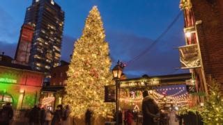 1.1K views · 56 reactions | Hope you enjoy this beautiful evening and have a wonderful weekend, Toronto. | City of Toronto | Facebook