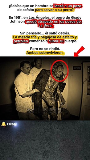 SE LANZÓ AL ASFALTO POR SU PERRO