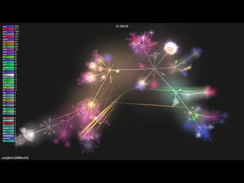 🎬 Ladybird [669bc04]