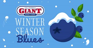 California Giant Berry Farms Teases Strong Volume and Great Quality This Blueberry Season; Nader Musleh, Rodrigo Aceves, and Markus Duran Discuss