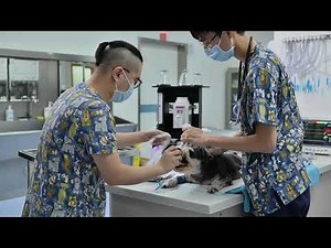 Basic Guidelines for Anesthesia Machine Usage