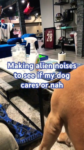 HELP WHY DOES IT SOUND LIKE I'M BURPING 😭😭😭#aliensarereal #alien