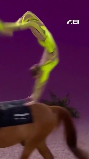 FEI Horse World on TikTok