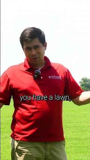 How to Keep Your Lawn Clover-Free!