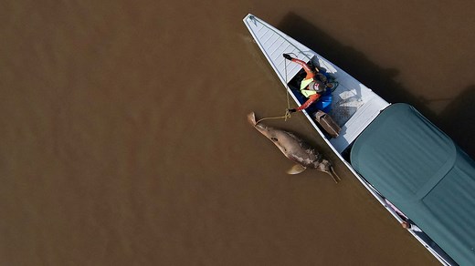 Global warming drove record Amazon rainforest drought, study finds