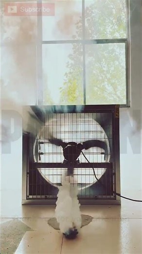 Powerful extraction system | PATRON #SHORTS