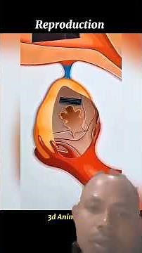 Reproduction in 3d Animation 👨‍⚕️⚕️