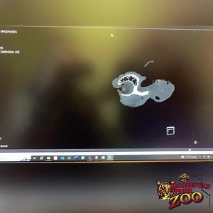 22 reactions | #MedicalMonday: 漣 Giraffes have 32 permanent teeth....