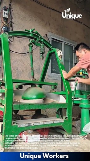 Tea Leaf Processing: Operating a Mechanical Tea Rolling Machine