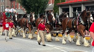 1K reactions · 126 shares |  Here is a recap video of the Budweiser...