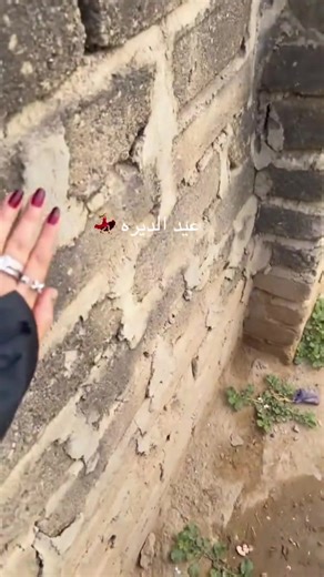 ‏ننشر نحا جدتي #بدويهہ_يا_خال #foryoupage #fypシ #جبل #مهوش