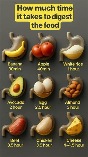 From Banana to Beef: Digestion Time Explained #food #digestiveprocess #foodie #loveyourgut #fruit