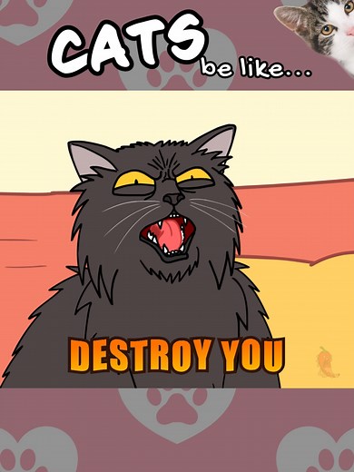 Funny Cat Moments: Cat Sounds and Memes Compilation