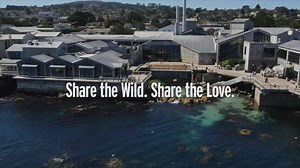 Monterey Bay Aquarium on Reels